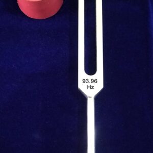 93.96 Hz Weighted Tuning Fork with Circuit Boot